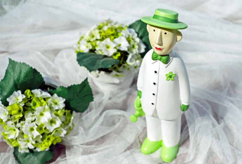 vitrine-PEGOMAS-min_man-person-flower-green-toy-fig-546529-pxhere.com